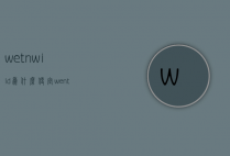 wetnwild为什么便宜（wentnwild）