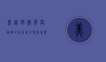 美容学，科学与艺术的完美融合，探索美丽与健康的奥秘