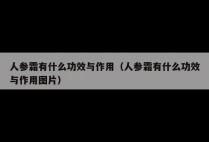 人参霜有什么功效与作用（人参霜有什么功效与作用图片）