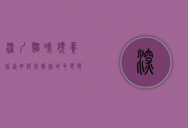深圳猫咪领养指南，如何找到你的毛茸茸小伙伴