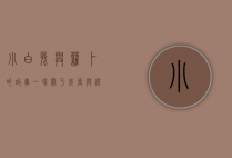 小白兔与萝卜的故事，一场关于成长与选择的寓言