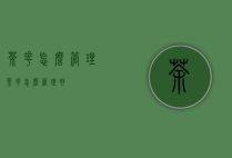 茶花怎么管理（茶花怎么管理好）