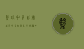 篮球中心，城市活力的象征与社区凝聚的纽带