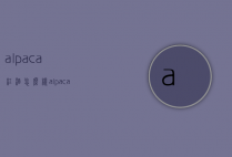 alpaca红酒怎么样（alpaca红酒好不好）