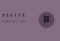 猫补，从营养需求到健康养护的全方位指南