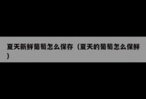 夏天新鲜葡萄怎么保存（夏天的葡萄怎么保鲜）