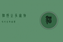 猫狗之争，宠物界的永恒话题