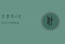 什么是vi（什么是vie架构股权）