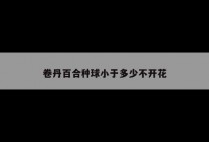 卷丹百合种球小于多少不开花