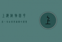 上海植物园花展，一场自然与艺术的视觉盛宴