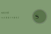 secretkey什么牌子的简单介绍