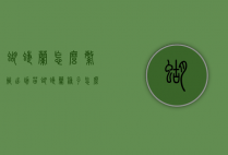 蝴蝶兰怎么繁殖出幼苗（蝴蝶兰种子怎么繁殖出幼苗）