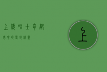 上海哈士奇，都市中的雪地精灵
