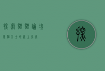 探索猫猫论坛，爱猫人士的线上天堂