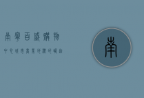 南宁百盛购物中心，城市商业地标的崛起与未来展望