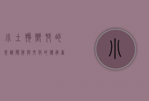 小土狗，乡村的忠诚伙伴与文化的传承者