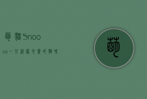 萌猫Snoopy，一只治愈心灵的猫咪传奇
