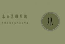小白兔图片，从可爱形象到文化象征的深度解读