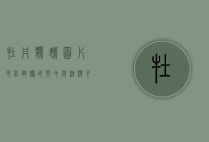 牡丹鹦鹉图片，色彩斑斓的羽毛与活泼可爱的姿态
