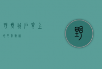 野长城，石脊上的千年对话