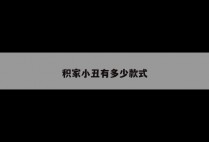 积家小丑有多少款式