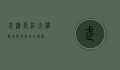 武汉长江大桥，历史与现代的交汇点