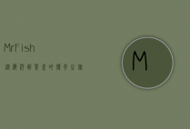 Mr Fish，从海洋到餐桌的传奇之旅