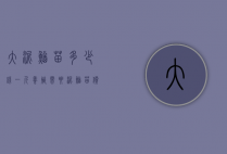 大泥鳅苗多少钱一斤养殖需要（泥鳅苗价格）
