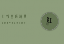 红脉皇后植物怎么养（中国红皇后植物）