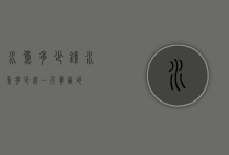 水鱼多少钱（水鱼多少钱一斤养殖的）