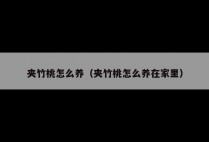 夹竹桃怎么养（夹竹桃怎么养在家里）