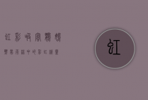 虹彩吸蜜鹦鹉，热带雨林中的彩虹精灵