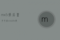 mx5换后盖多少钱（vivoz5x换后盖多少钱）