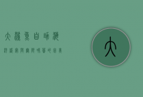 大鲨鱼自助，海洋盛宴与无限味蕾的完美邂逅