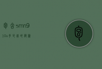 包含smn910u多少钱的词条