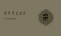 机票，现代旅行的关键与挑战