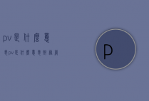 pv是什么意思（pv是什么意思财务管理）