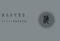 海南娱乐，热带天堂的多元体验与无限魅力