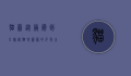 猫图，从艺术到互联网，猫咪图像的千年之旅