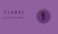 鱼缸过滤器，水族箱生态平衡的守护者