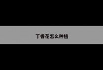 丁香花怎么种植