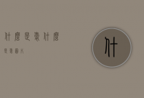 什么是爱（什么是爱图片）