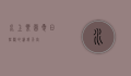 水上乐园，夏日狂欢的清凉天堂