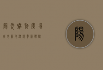 阳光购物广场，城市新地标，消费新体验