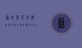 苏州商业街，传统与现代交融的繁华之地