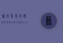 苏州商业街，传统与现代交融的繁华之地