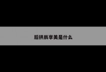 后拱辰享美是什么