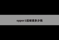 oppor1后玻璃多少钱