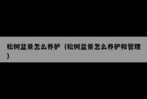 松树盆景怎么养护（松树盆景怎么养护和管理）