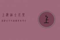 上海迪士尼乐园游玩攻略，从购票到项目，一站式玩转梦幻世界